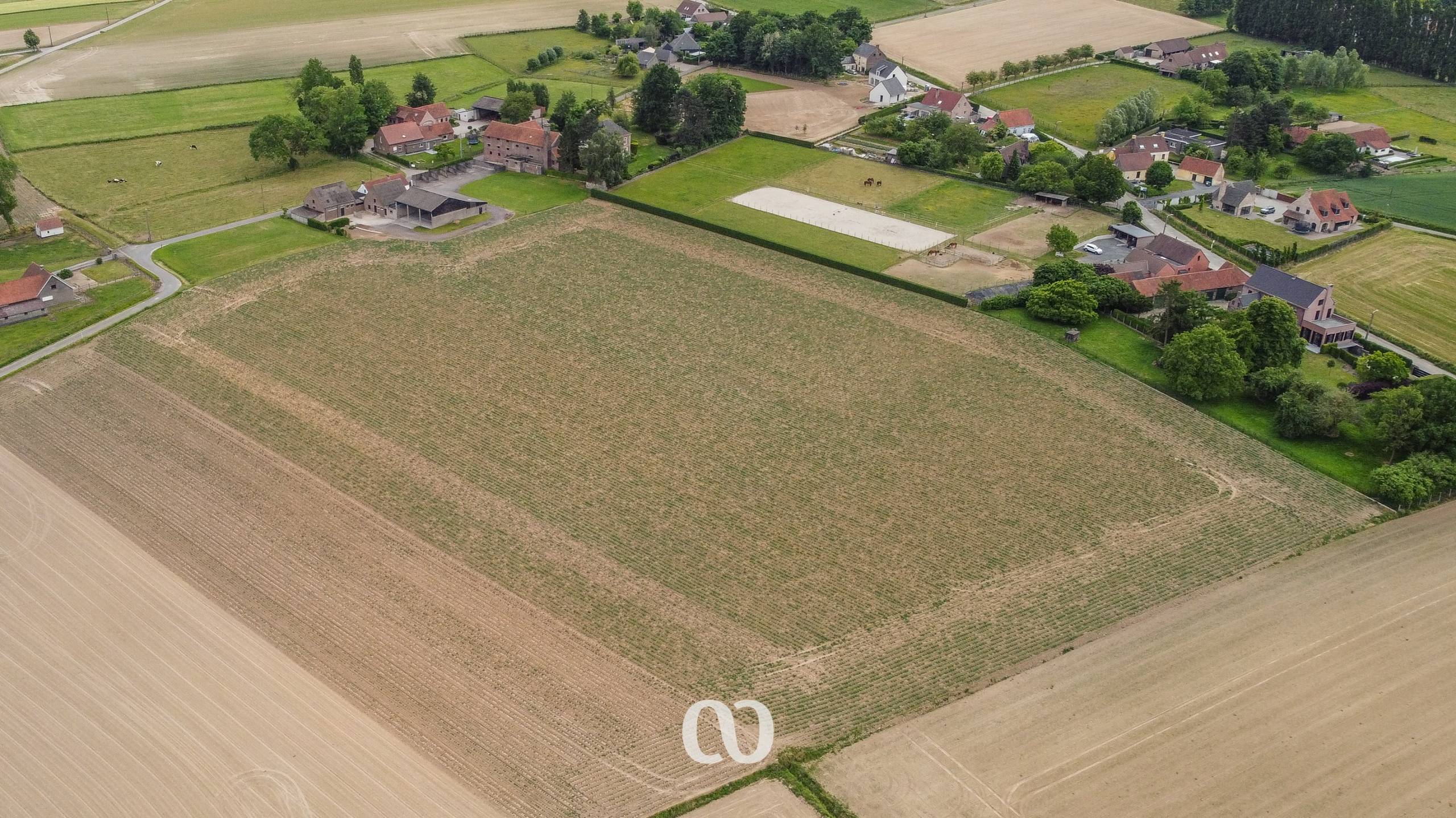 Prachtig gelegen hoeve met gronden op meer dan 3,5 ha - foto 4