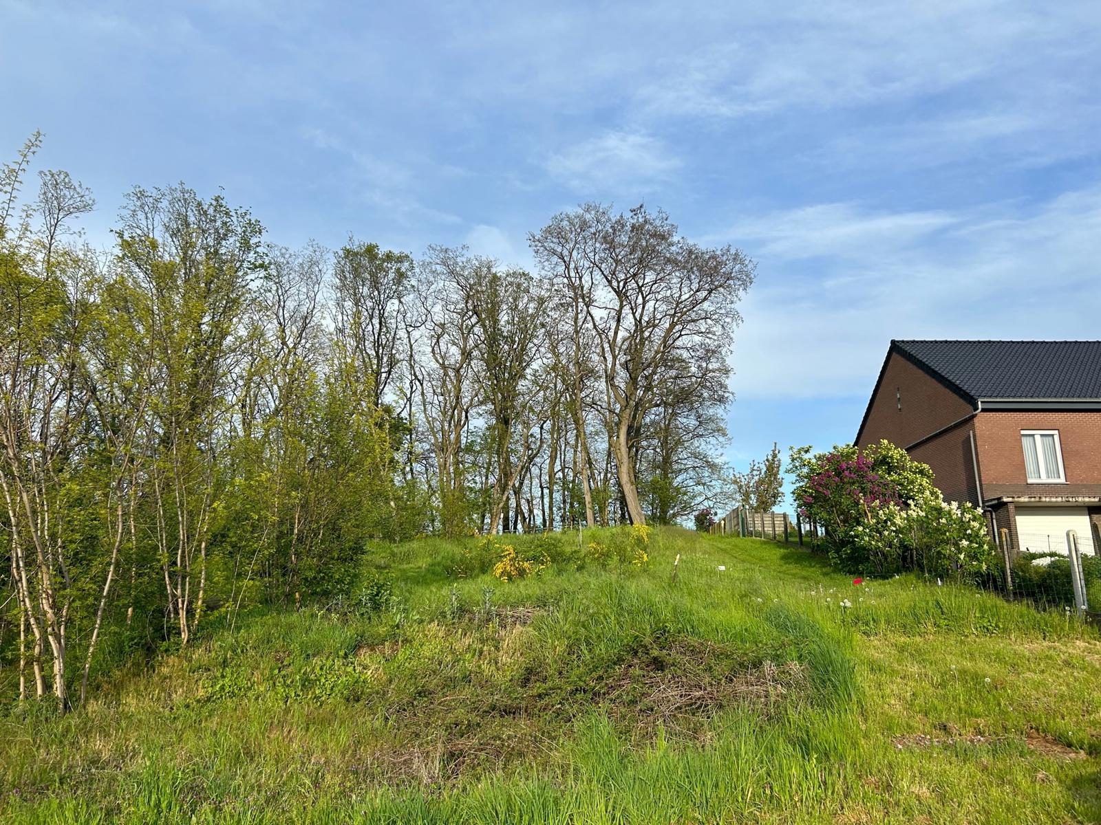 Land for sale in Bekkevoort - photo 2