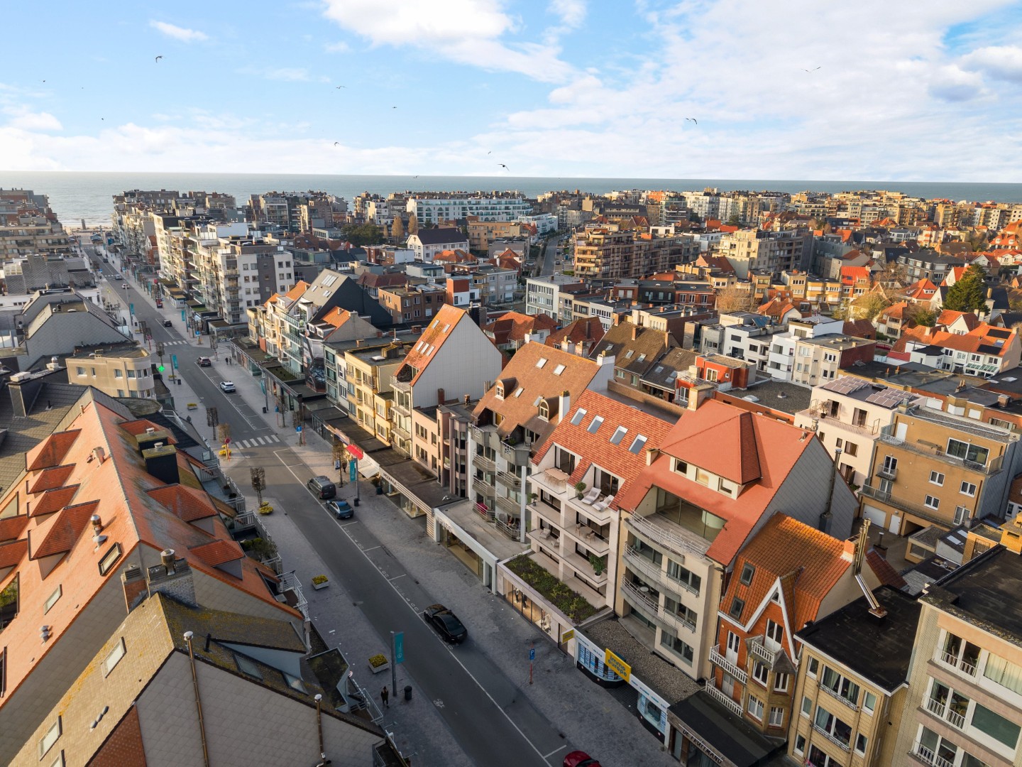 Projet à vendre à Koksijde - photo 4