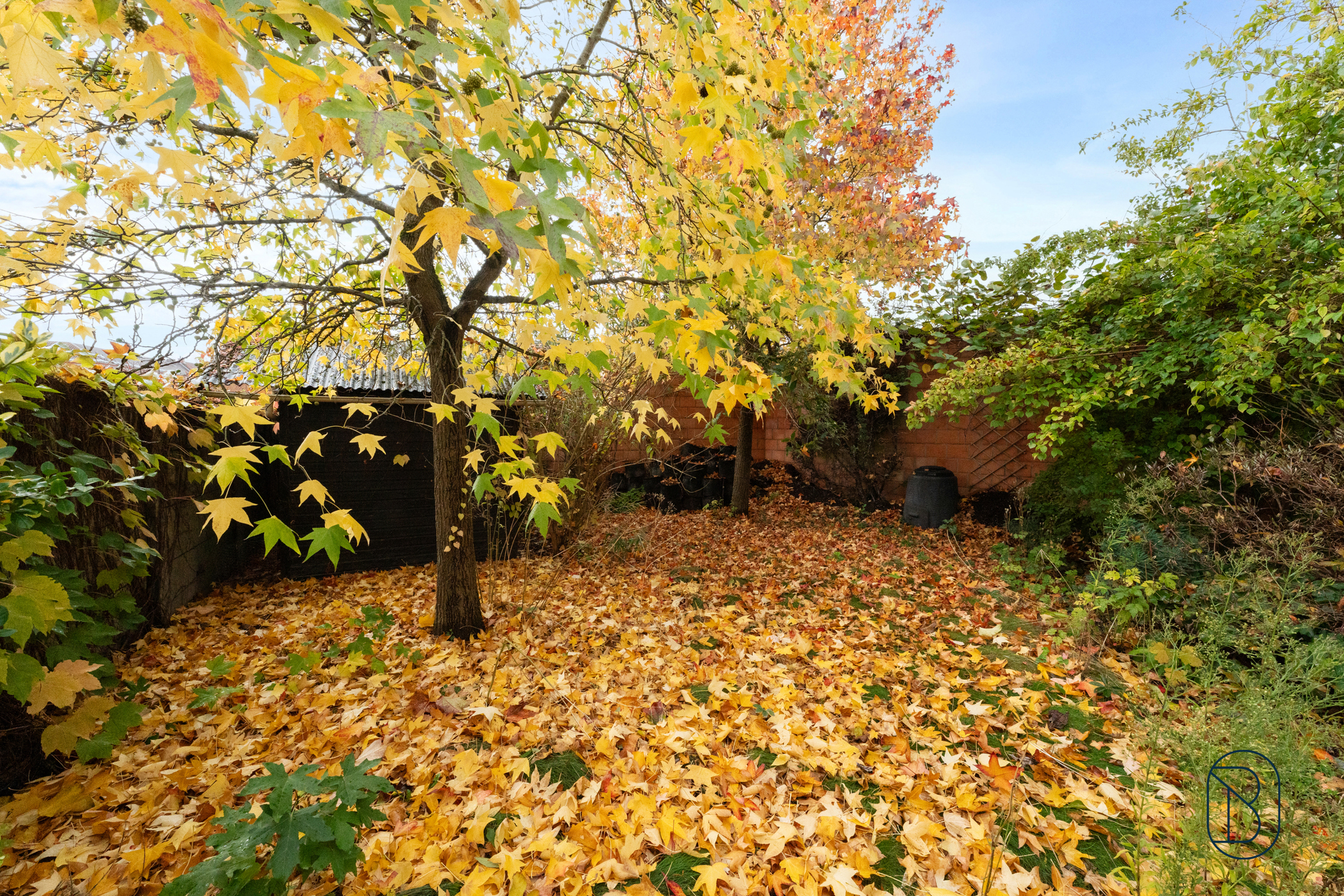 Grote woning met oprit, 2 garages, tuin, en praktijk! - foto 2