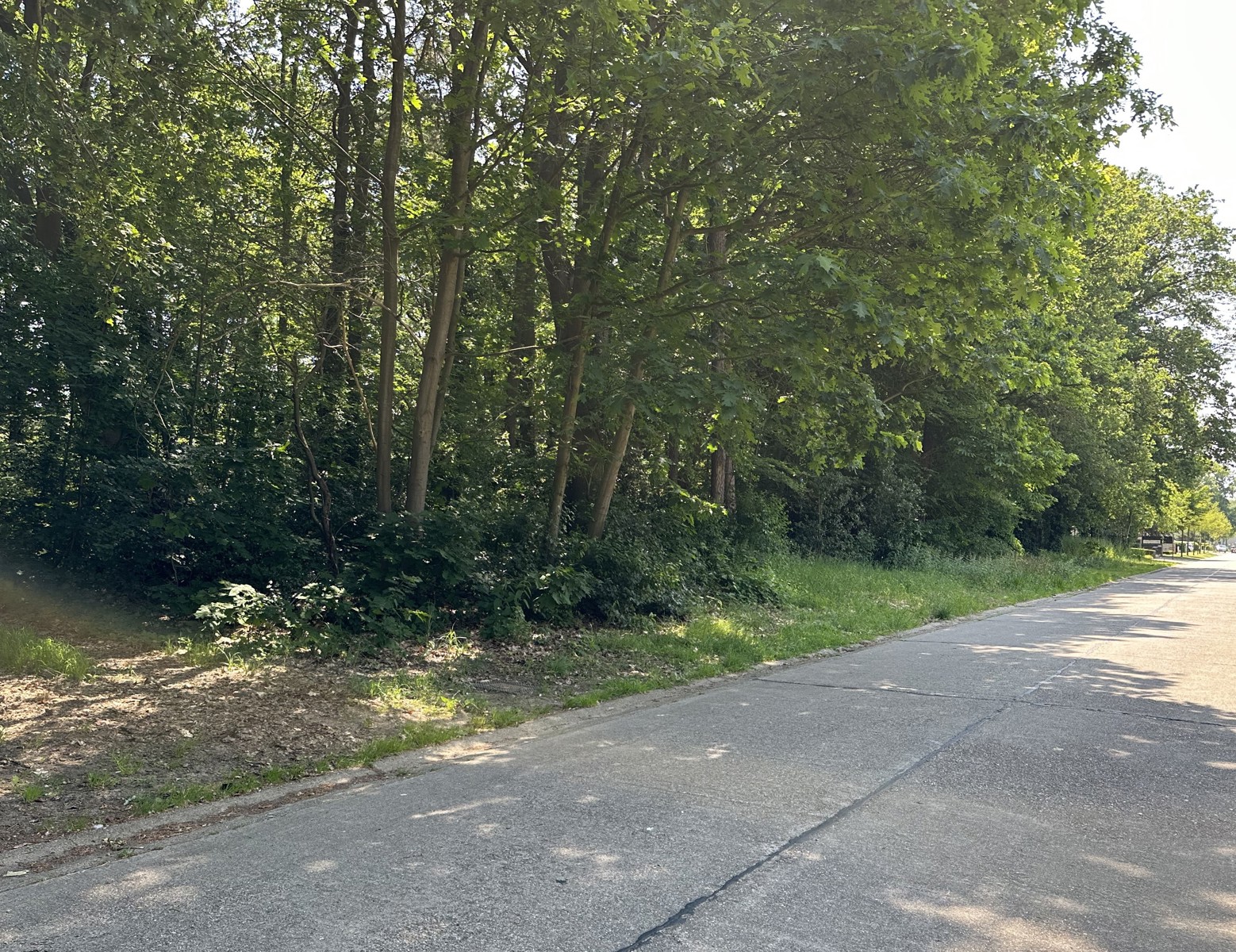 Land for sale in Wuustwezel - photo 4