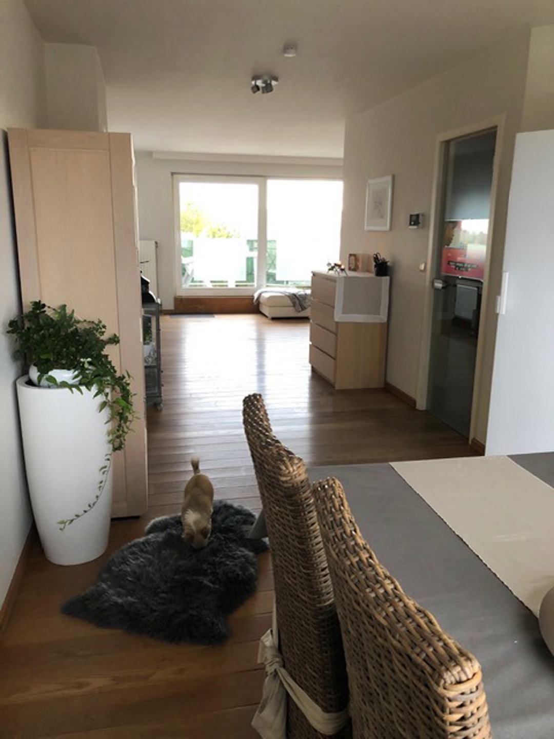 HOFSTADE - Duplex op centrale ligging - foto 5