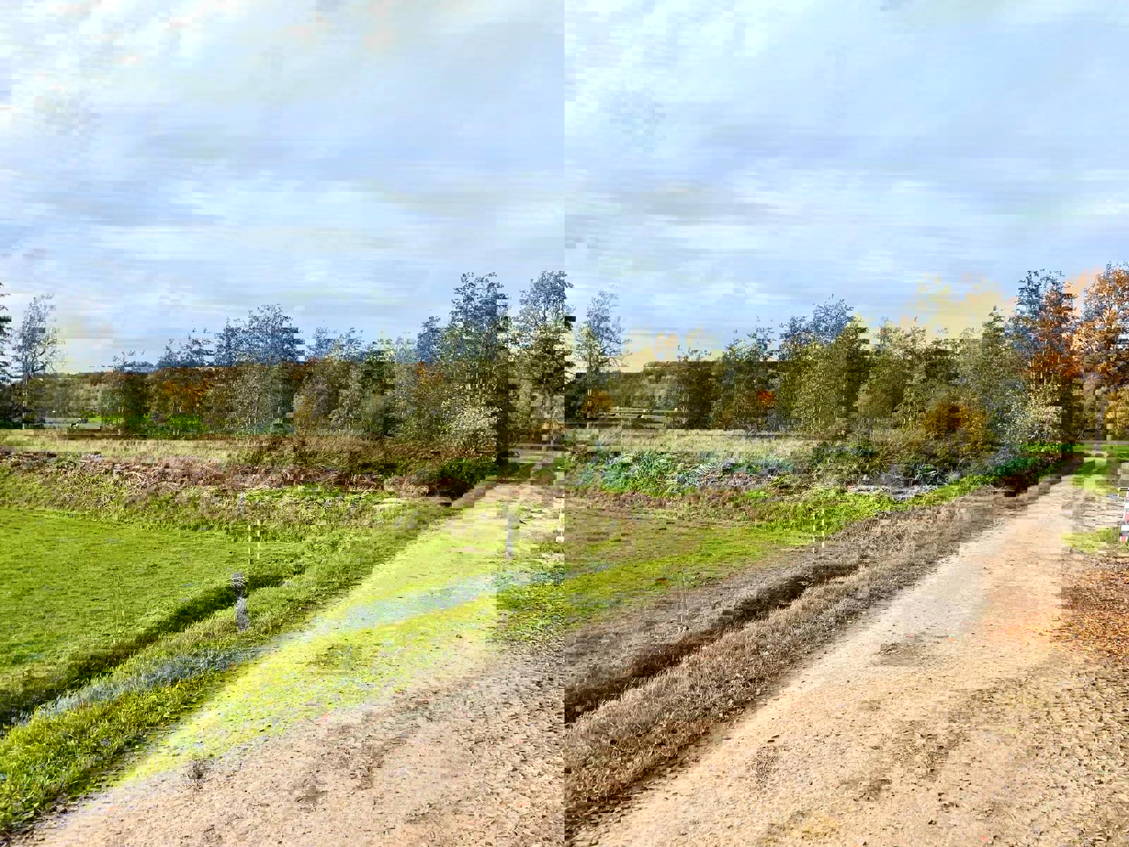 Land for sale in Brecht - photo 2