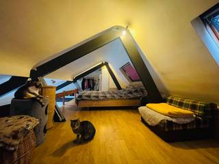 Brugge centrum, Vlakbij t' Zand en de Vestingen <br /><u><strong>OPBRENGSTEIGENDOM</strong></u> bestaande uit : 1. een MAGAZIJN op het gelijksvloers verhuurd aan 240 euro<br /> 2. een STUDIO op de 1é verdieping verhuurd aan 515 euro<br /> 3. en een uiterst GEZELLIGE DUPLEX LOFT STUDIO ONDER HET DAK verhuurd aan 725 euro<br /> Stedebouwkundig Vergund als woonst met magazijn