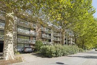 Idéalement situé au rez-de-chaussée du 11 Avenue des Pagodes, face à l'arrière du Palais Royal de Laeken, ce lumineux appartement de trois chambres offre un cadre de vie paisible. Ce bien de ± 160 m² se compose d'un hall d'entrée accueillant, d'un séjour baigné de lumière, d'une cuisine fonctionnelle, d'une salle de bain et d'un WC séparé. Le véritable atout de cet appartement est sa terrasse orientée vers la verdure de l'intérieur d'îlot. Une cave, un emplacement de parking privatif et un ascenseur dans l'immeuble complètent les prestations de cette rare opportunité dans un quartier résidentiel recherché de Bruxelles.<br /><br />L'appartement bénéficie en outre d'un ancien garage privatif de ± 30 m² (non inclus dans la superficie de 160 m²), actuellement aménagé en une 4ème chambre. Cet aménagement est vendu en situation d'infraction urbanistique (libre à l'acquéreur d'en demander la régularisation ou de lui rendre sa destination d'origine de garage. <br /><br />PRE-SALE : Prix de départ à partir de 385.000 €<br />Journée PRE-SALE : 15/10 à partir de 15h<br /><br />Le bien est proposé selon la formule Pre-sale. Le 15/10/2026 entre 15:00 et 17:30, vous pouvez visiter l'appartement sur rendez-vous et faire une offre. Le prix affiché est un prix indicatif. Pour plus d'informations, veuillez contacter le responsable du dossier.
