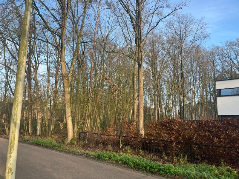 Terrain à vendre à Zoersel - photo 4