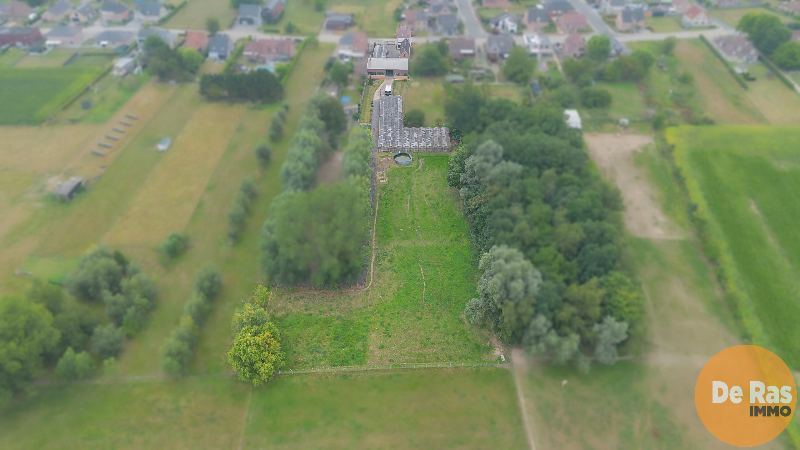ERPE-MERE - Goed onderhouden woning met magazijn en serres - foto 2