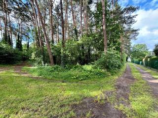 Deze bouwgrond van maar liefst 35 are en 78 ca voor open bebouwing, rustig gelegen in de Sint-Theresiastraat in Mol, biedt alles wat je nodig...