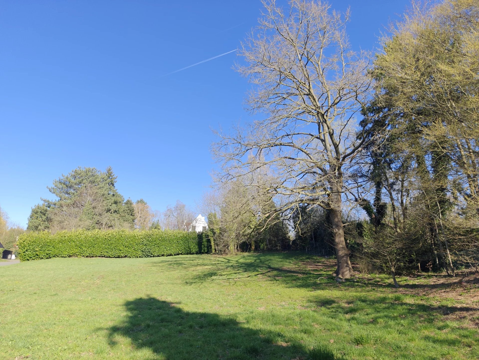 Terrain résidentiel avec permis accordé - photo 4