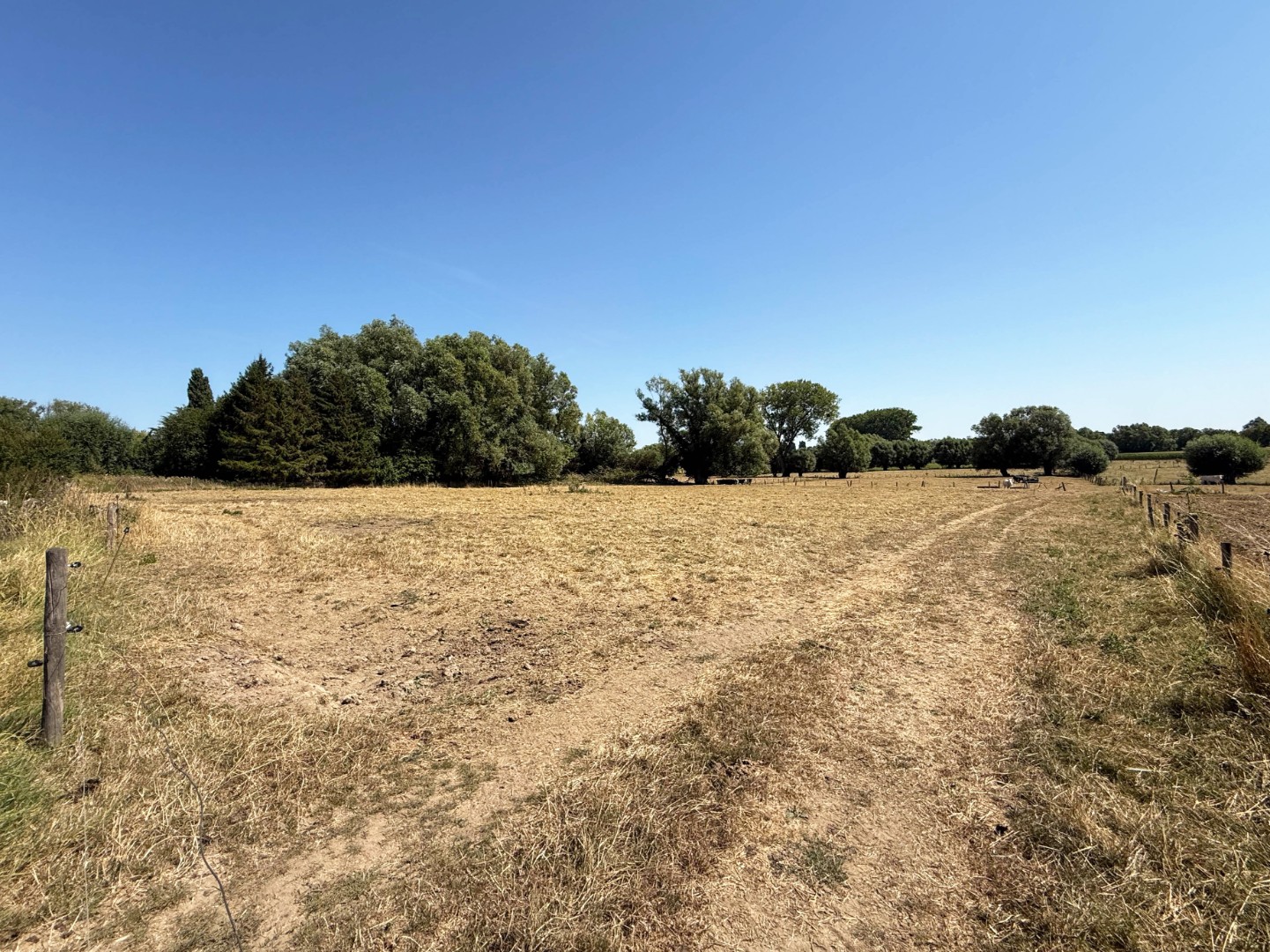 Te koop, totaal te renoveren / te slopen hoeve met uitweg achteraan op 1,5 hectare te Bever - photo 4