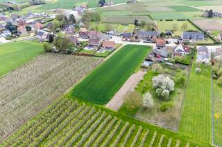 Deze twee mooie bouwgronden bevinden zich in woongebied met landelijk karakter in Kapellen, een deelgemeente van Glabbeek. Ze zijn bestemd voor...