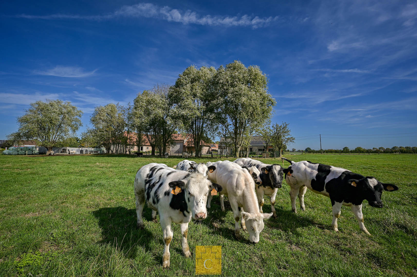 Boerderij met nieuwbouwloods (+400M2) en woning op 11.776 m² - photo 4