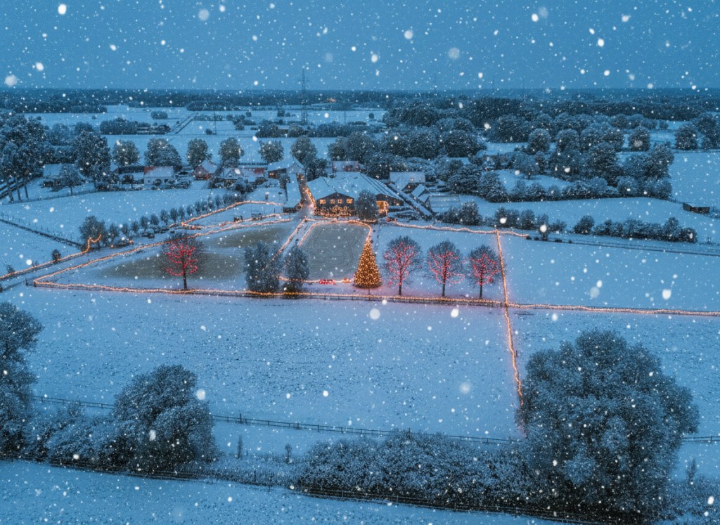 Uniek hippisch complex met woning op toplocatie - foto 1