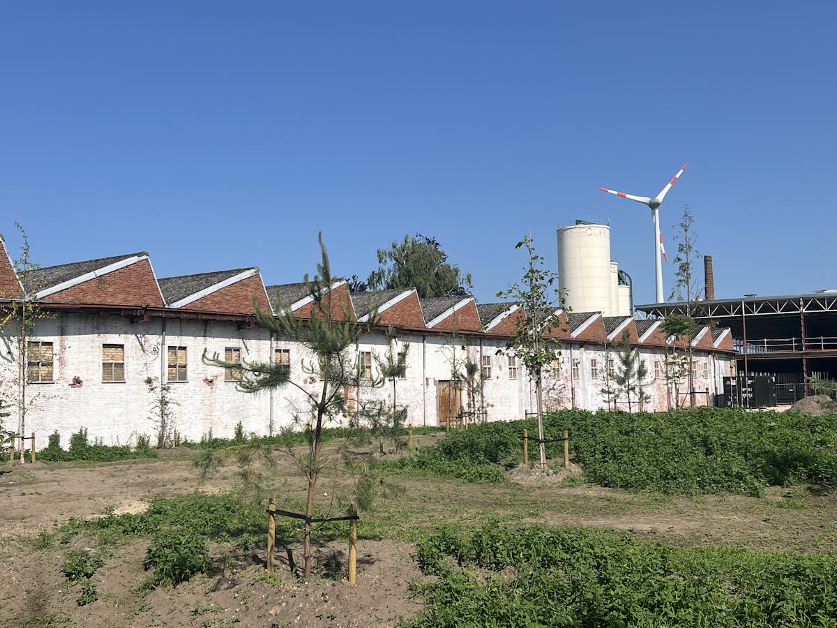 RE|CORE, The Sheds, SME units, 263m², parking, prime location - photo 3