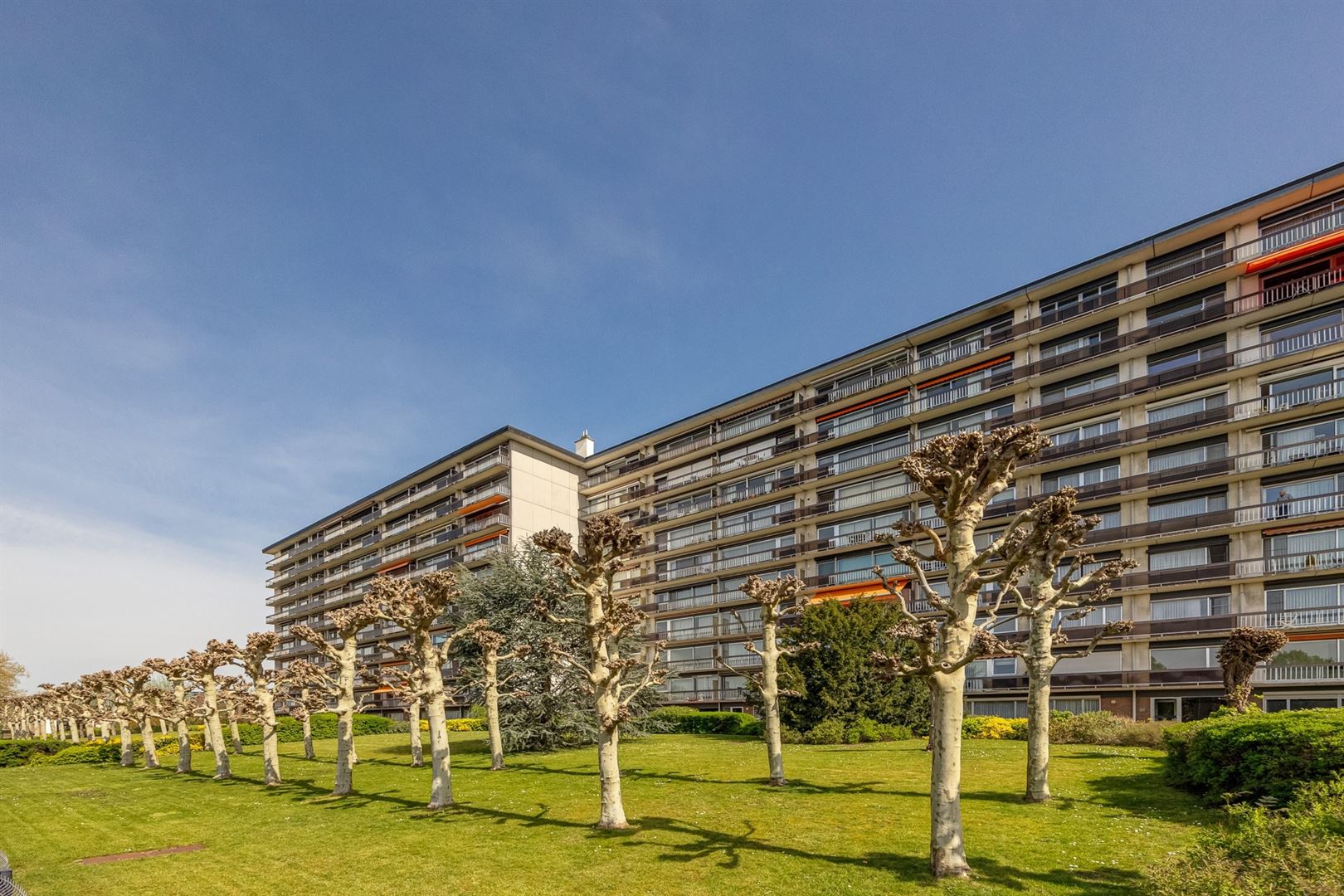 Volledig gerenoveerd appartement met 2 slaapkamers en 2 terrassen!  - foto 3
