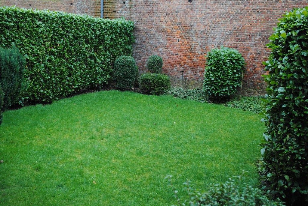 Instapklaar gelijkvloers appartement met tuin en garage in Sint-Amandsberg - foto 5