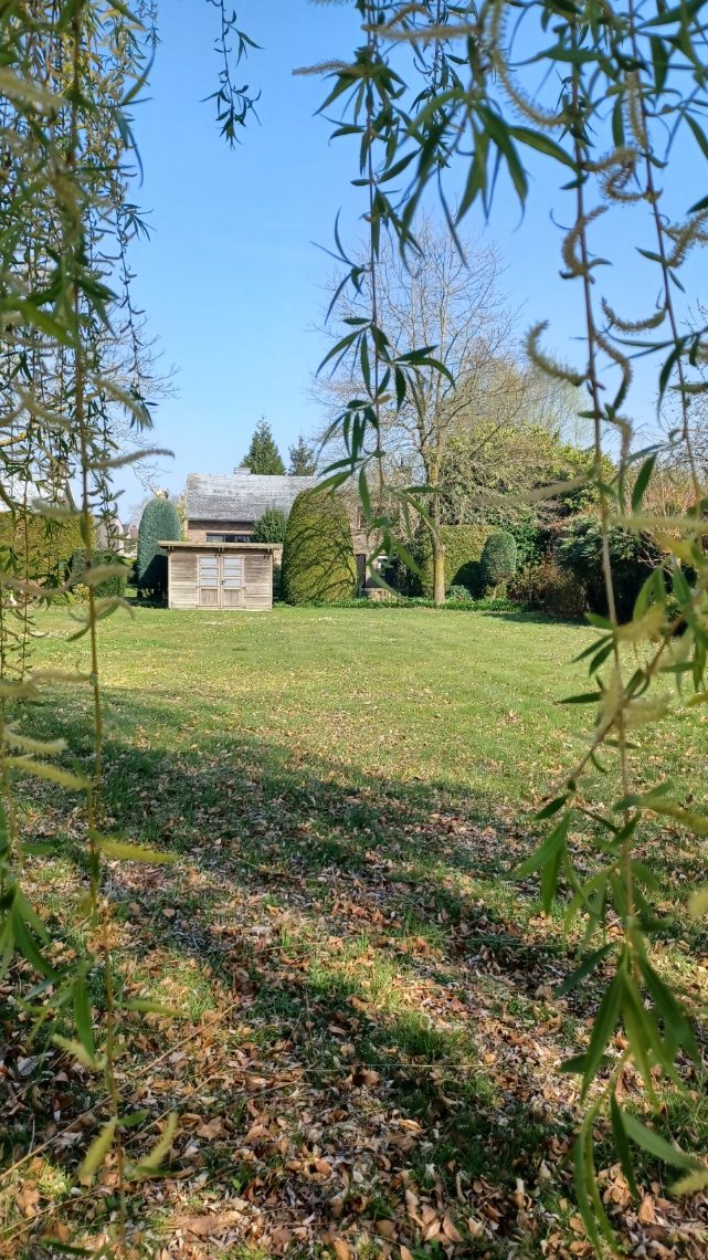 Grond te koop in Zulte - foto 5