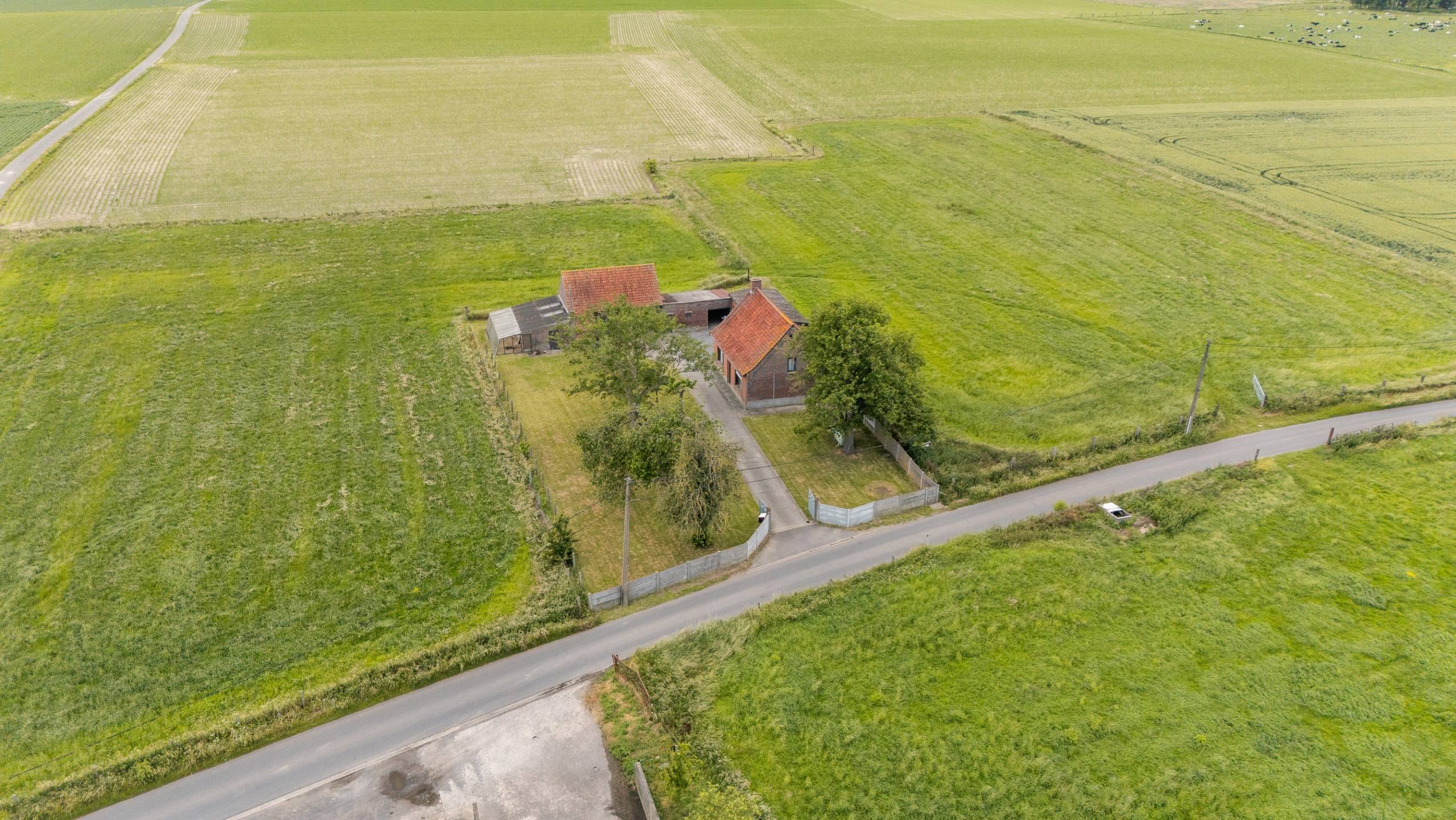 Unieke landelijke woning met 7.215 m² grond te koop in Tielt – Sloop & heropbouw mogelijk - foto 2