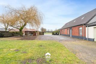 Deze charmante langgevelhoeve is gelegen in een groene, landelijke omgeving nabij het centrum van Peer. Achteraan geniet u van een vrij uitzicht...