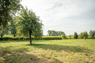 Deze buitengewone nieuwbouw villa, dat uitermate gunstig in de serene landelijke omgeving van Moerkerke (Damme) gelegen is, biedt een zeldzame kans...