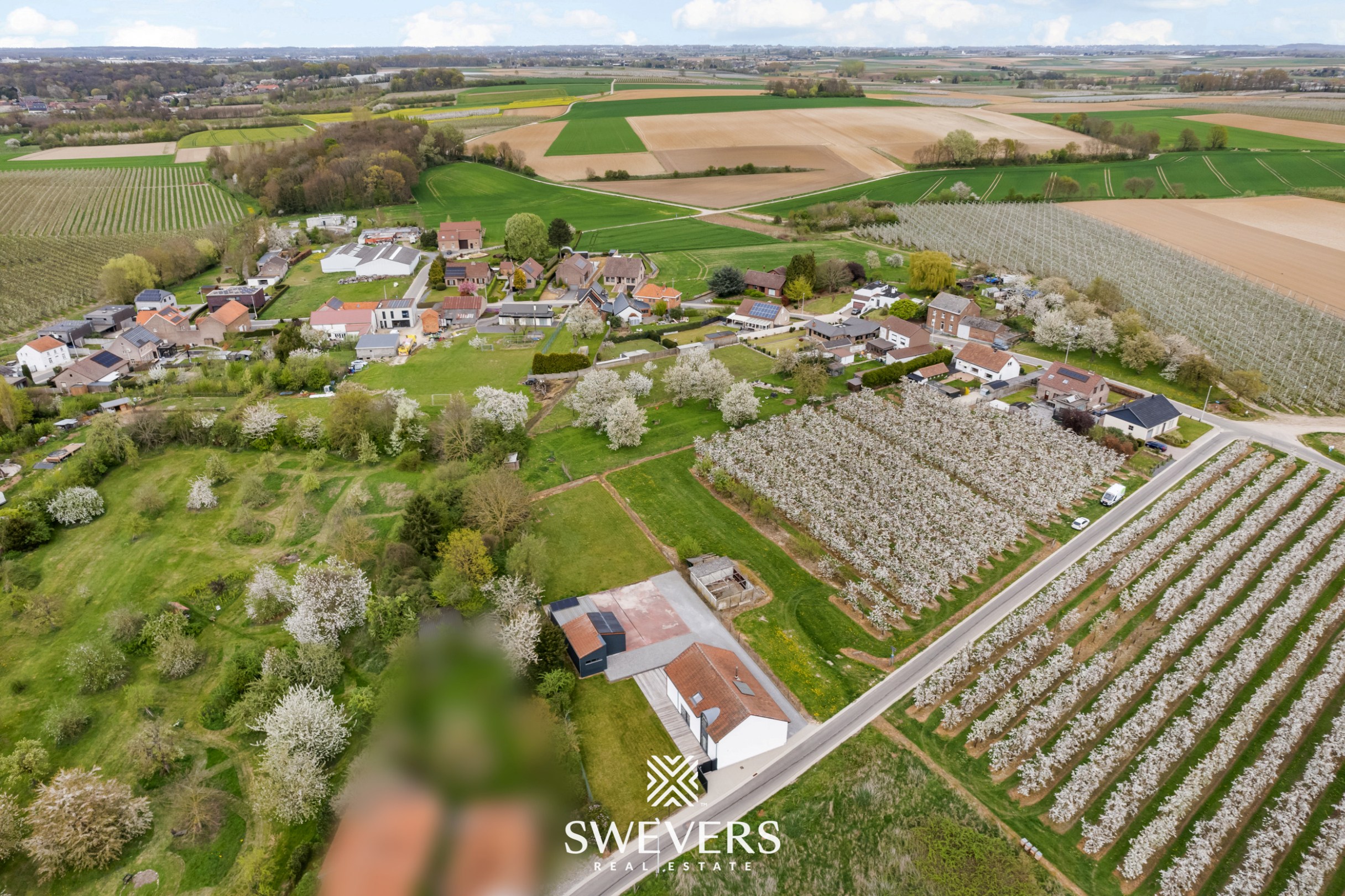 Instapklare open bebouwing met ruime tuin en prachtig uitzicht tussen de boomgaarden in Gingelom - foto 5