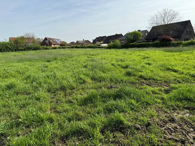 Project for sale in Sint-Martens-Bodegem