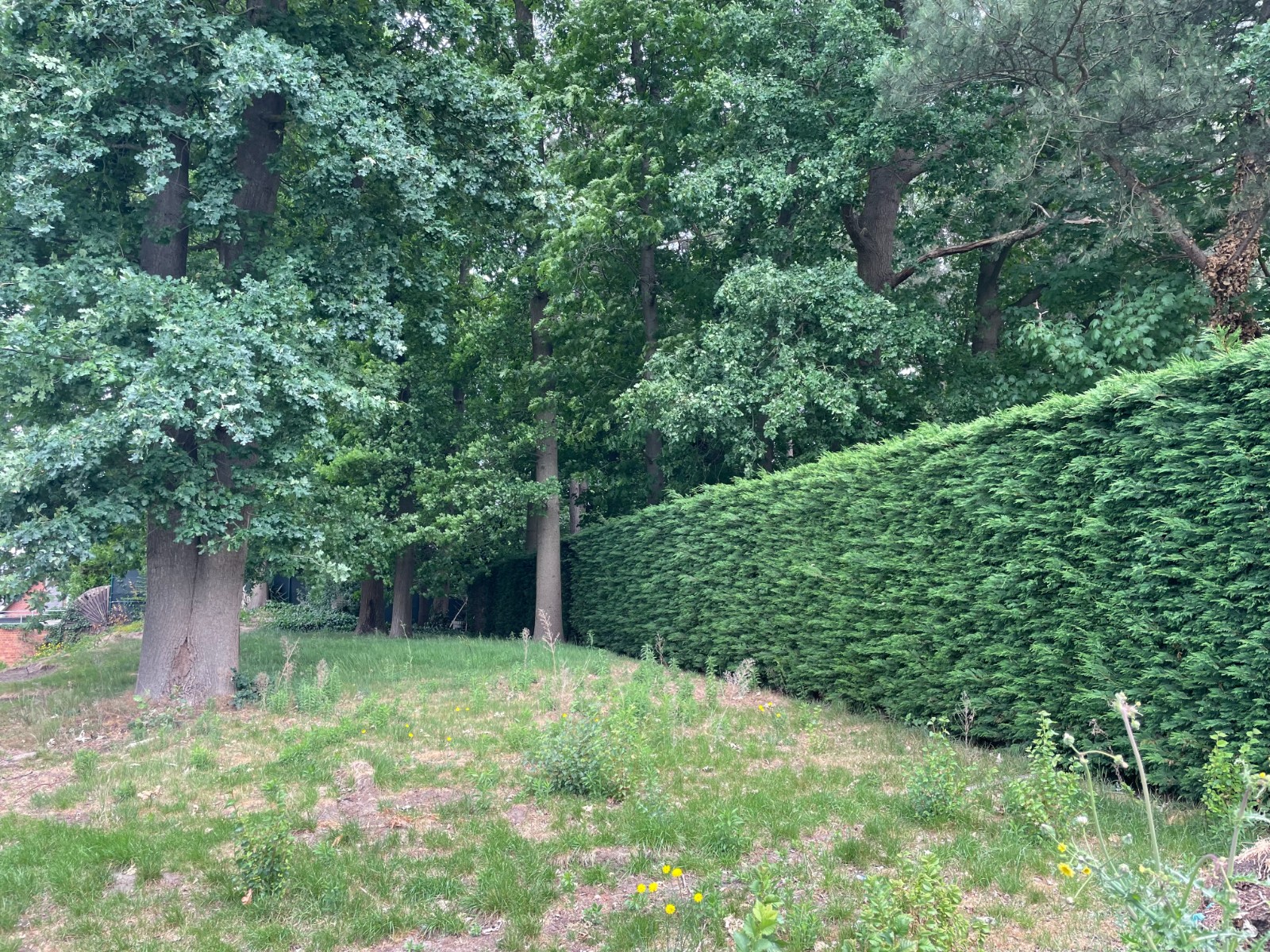 Prachtige 3-slaapkamer appartement op de eerste verdieping met een schitterend uitzicht op het bos! - foto 4