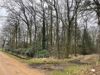 Land for sale in Lille