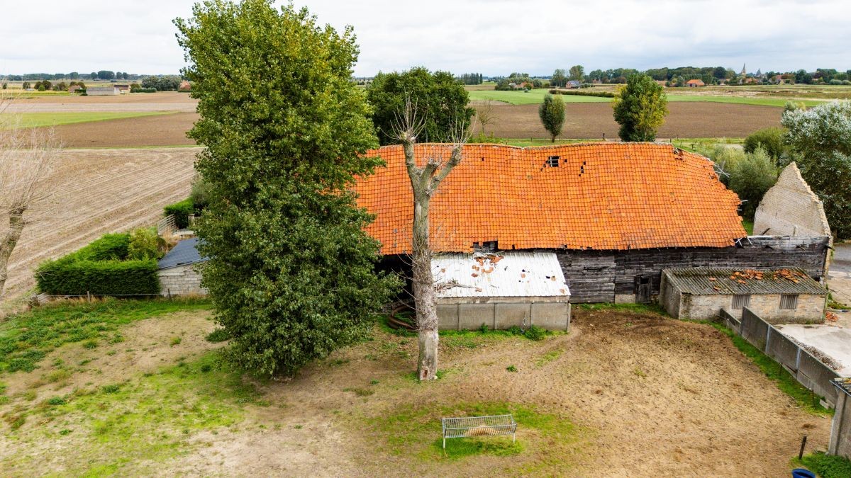 Hoeve te koop op circa 2 ha te Vinkem - foto 5