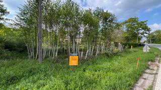 Ontdek de perfecte locatie voor uw nieuwe woning op dit prachtige perceel gelegen aan de Rue de la Rièze in Couvin. Met een oppervlakte van 2449...