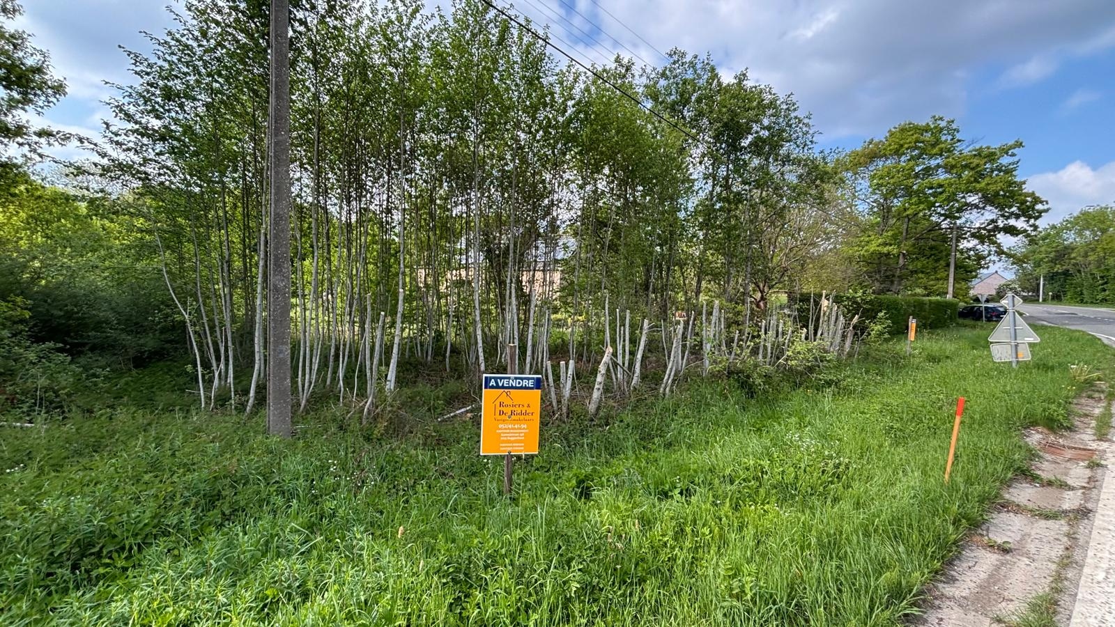 Prachtig perceel te koop in Couvin - photo 3