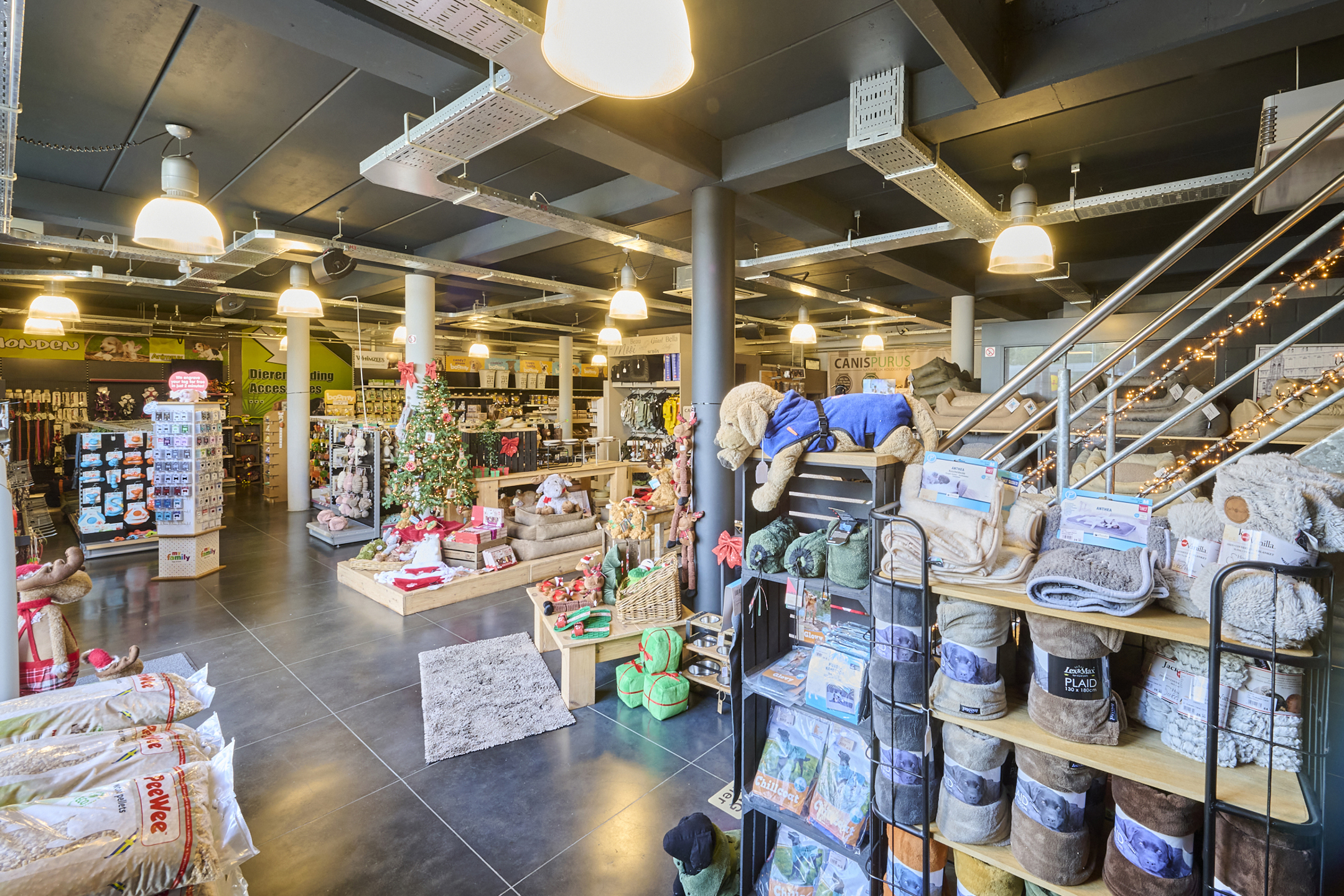 TE KOOP: handelspand met woonst op toplocatie in Bree - foto 5