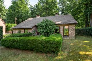 Laat je omarmen door de magie van de bewoners van het bos en de kracht van oude bomen... Deze verrassend ruime woning combineert natuurlijke...