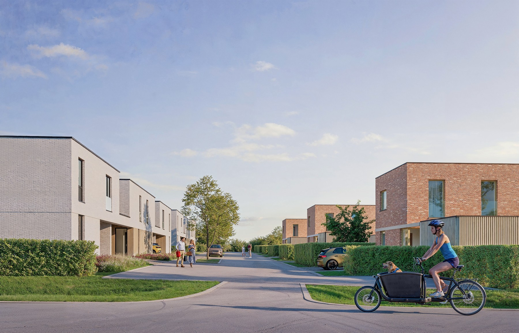 Project te koop in Bilzen - foto 3