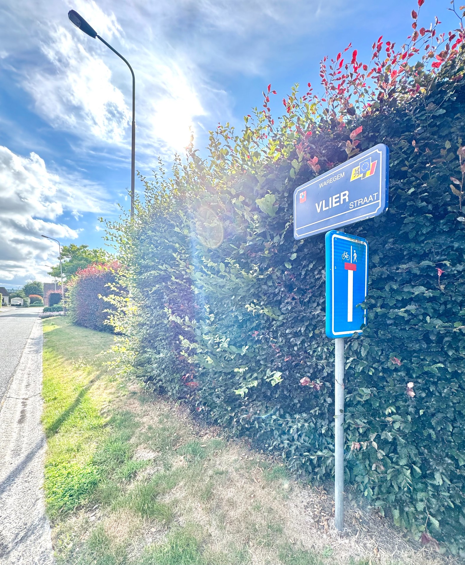 ALLEENSTAANDE WONING IN LANDELIJKE STIJL - foto 4