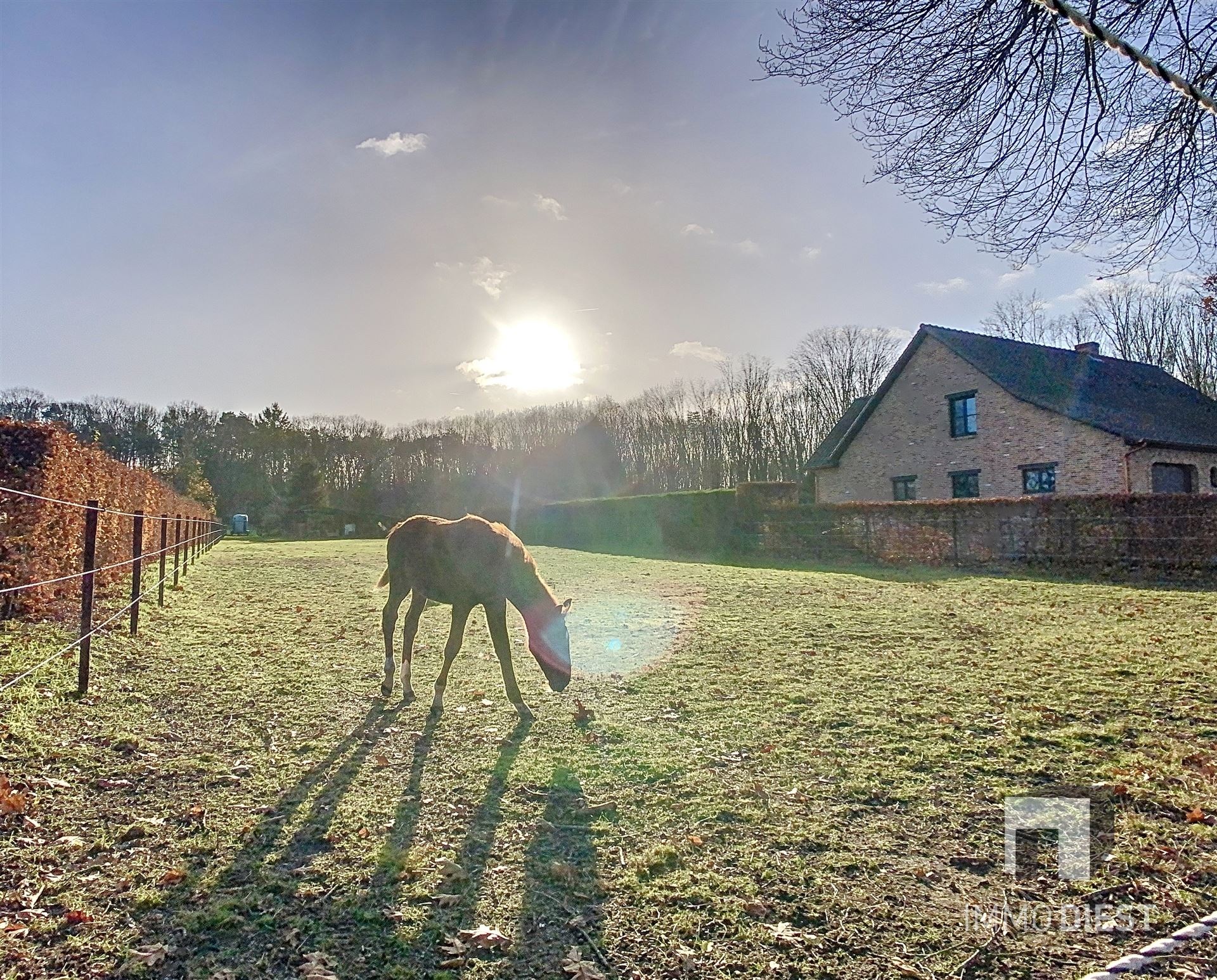 Residentiele bouwgrond - 21,25are - zuid gericht - foto 5