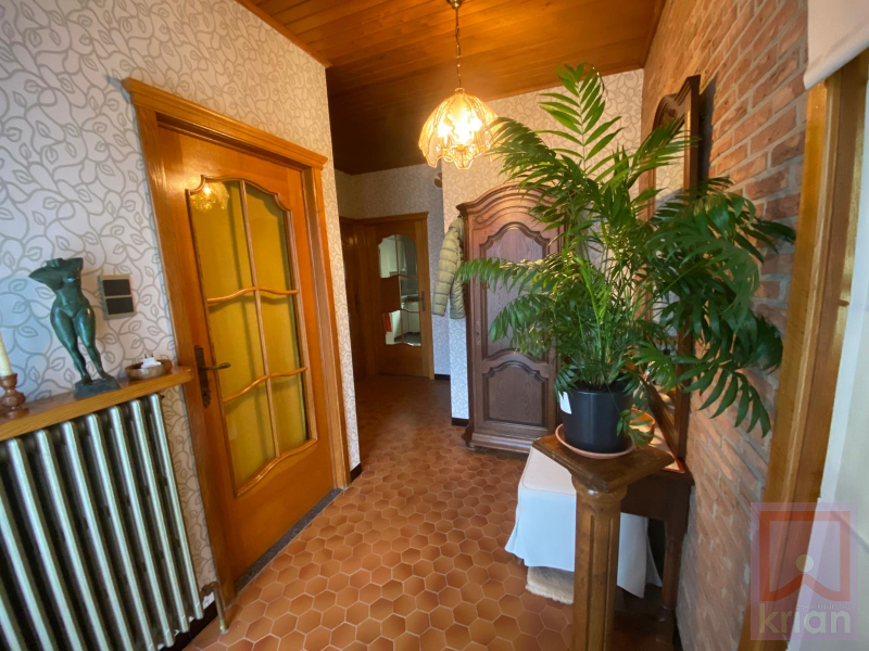 Ruime woning met tuin, 2 grote garages en kelder op grond groot 688m² - foto 3