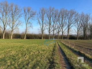 Terrain à vendre à Diest