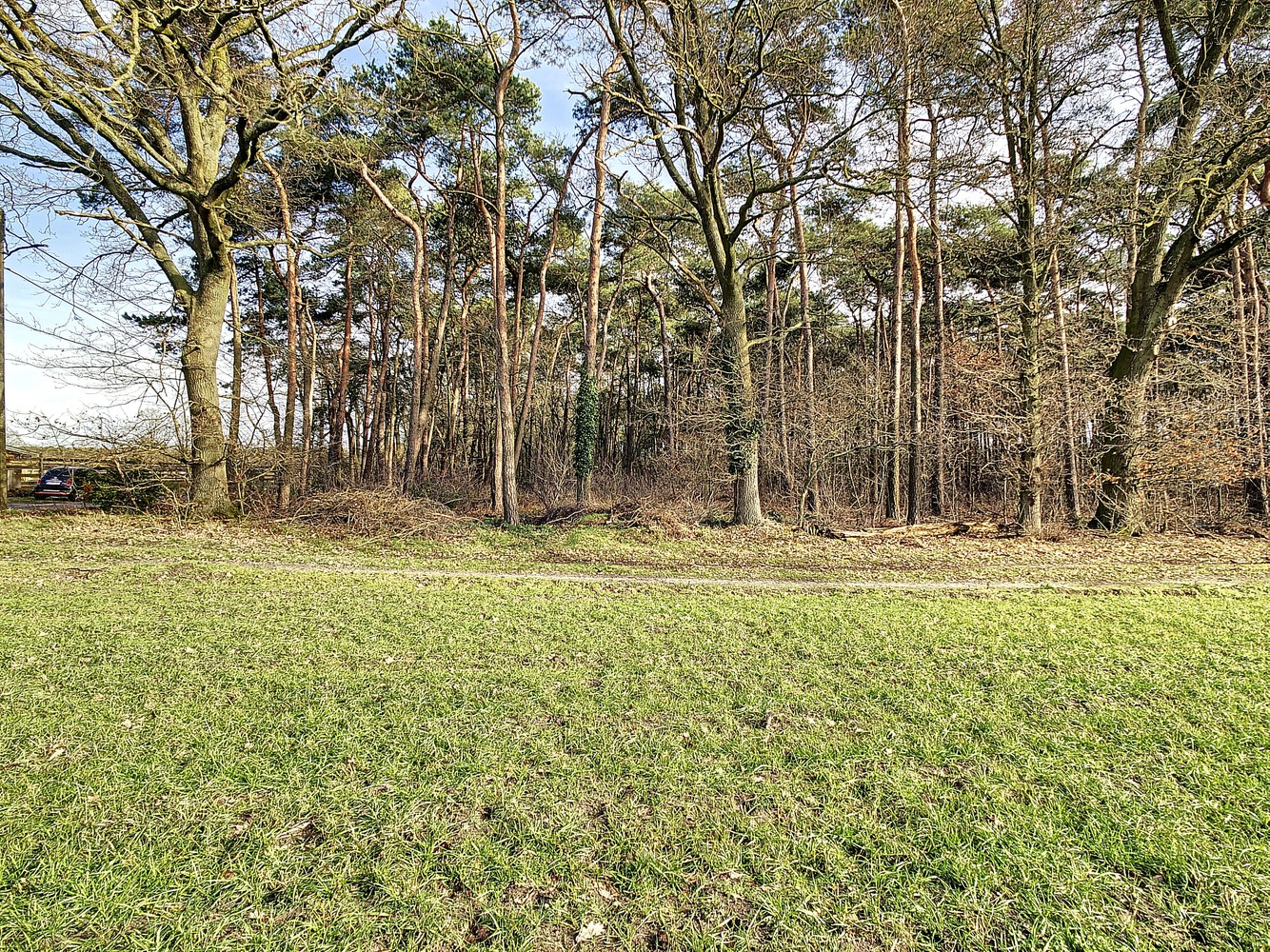 Perceel van 16.501m² aan de Kreyelerheide (bos in landschappelijk waardevol agrarisch gebied) - foto 4