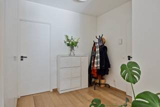 Gerenoveerd één slaapkamer appartement met ruim terras te Borgerhout<br /><br />Ben jij op zoek naar een instapklaar appartement met buitenruimte in een levendige buurt? Kom gerust een kijkje nemen aan de Plantin en Moretuslei 331!<br /><br />Ons appartement ligt op de tweede verdieping van een verzorgd residentieel gebouw, op nog geen vijf minuten fietsen van de gezellige Dageraadplaats in Zurenborg. In de woonkamer geniet je van veel lichtinval, en via de volledig openslaande schuifdeuren stap je zo het ruime terras op, perfect om van de zon te genieten, met een mooi groen uitzicht erbij van de bomen die in bloei staan.<br /><br />Vanuit de woonkamer loop je de keuken in, die volledig uitgerust is met onder andere een ingebouwde vaatwasser en koelkast. Er is ook genoeg ruimte om er echt uitgebreid te koken.<br /><br />De gerenoveerde badkamer heeft een ruime inloopdouche met regendouche, en handig: de wasmachineaansluiting zit in de ingebouwde kast in de hal, zodat de badkamer overzichtelijk blijft. Verder is er een apart toilet in de hal met handenwasser.<br /><br />Aan de achterkant van het appartement is een ruime slaapkamer te vinden met ook daar veel lichtinval.<br /><br />Bijkomende troeven zijn: een gunstige EPC-score B, verzorgde parketvloer in de hele woning, volledig nieuwe keuken en badkamer, zuidgeoriënteerd terras, asbestveilig, elektriciteit is conform, Delhaize en Carrefour op wandelafstand. Met de wagen ben je zo op de E19 en E313.<br /><br />En nog meer!<br /><br />Ben je benieuwd? Stuur een verzoekje via de website, of stuur ons een mail op: pauline.owelle@gmail.com