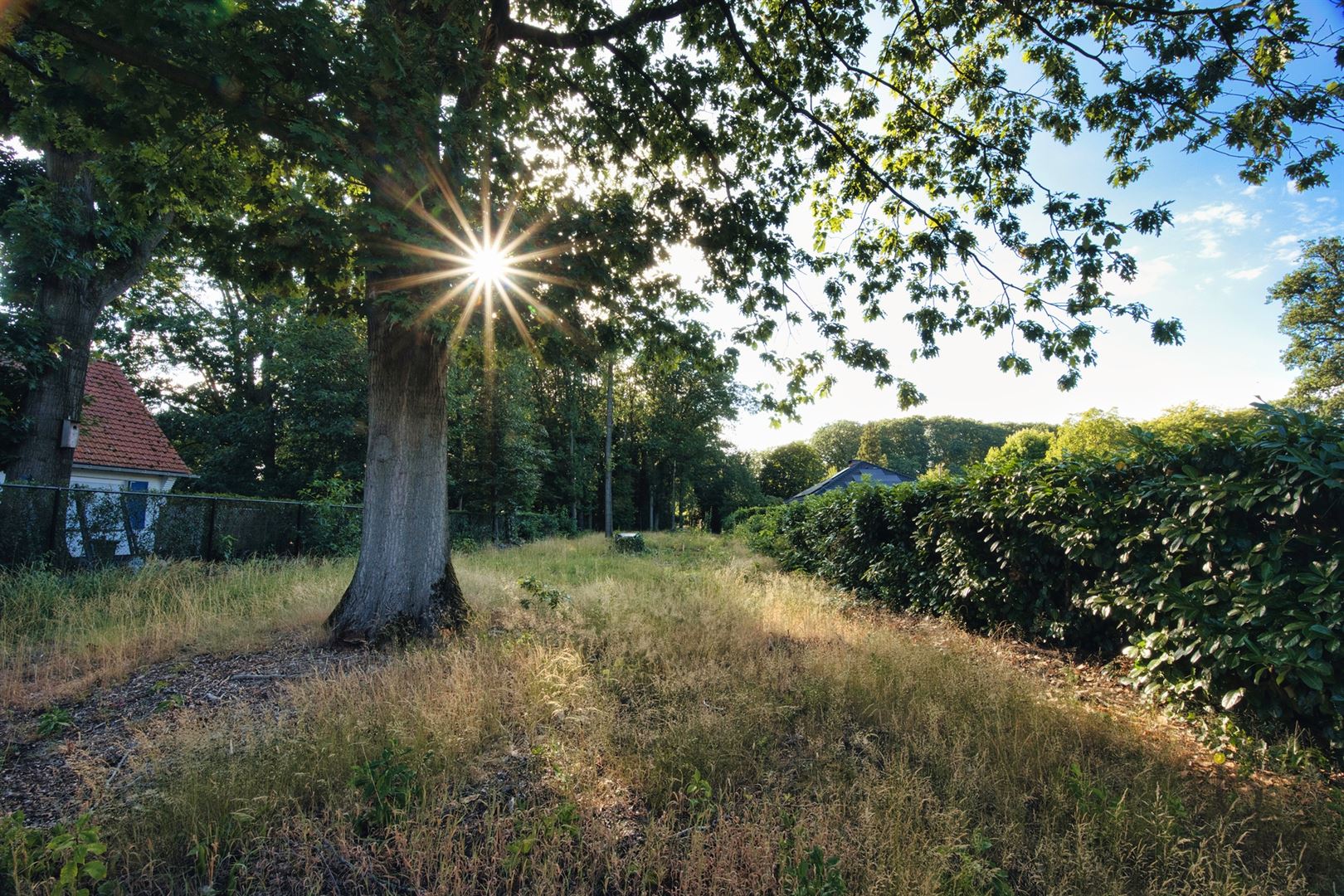 Land for sale in Malle - photo 4