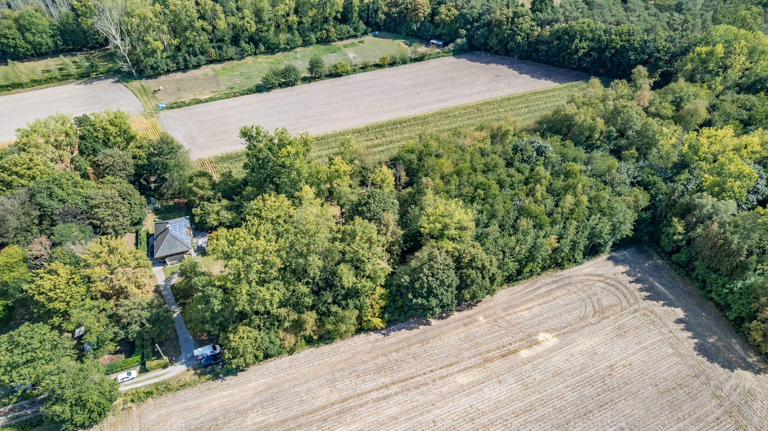 BOSGROND IN WACHTEBEKE (4.690m²) UNIEK KANS IN HET GROEN - foto 2
