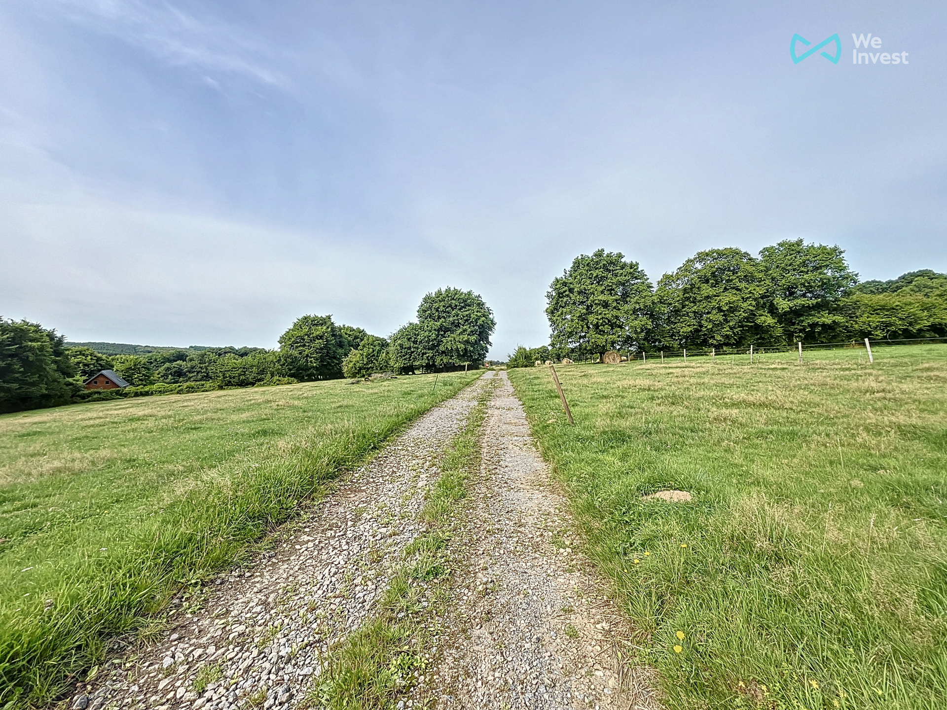 Grond te koop in Chimay - foto 4