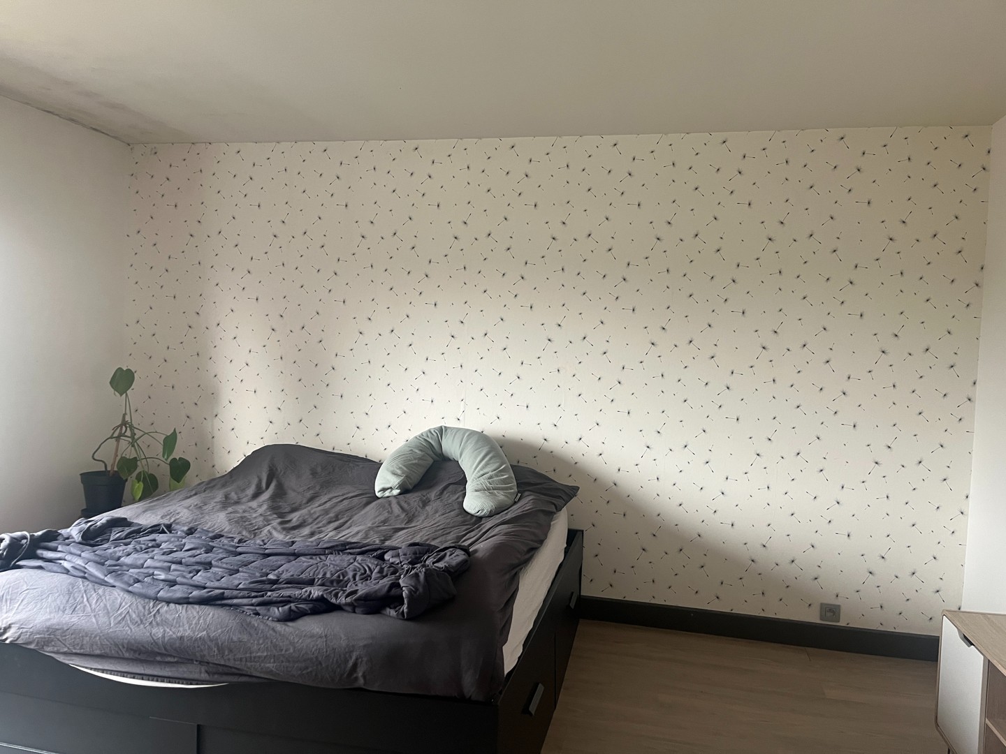 Ruim appartement met 3 slaapkamers - foto 4