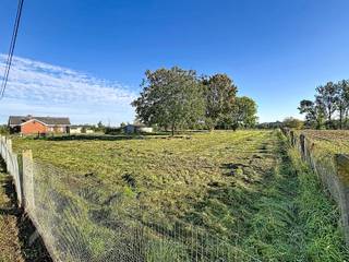 <p>Op een prachtige, landelijke locatie in Anzegem vinden we deze ruime woning met een bijzonder groot perceel en aansluitend weiland. Een ideale eigendom voor wie houdt van rust, privacy en ruimte, maar toch een vlotte bereikbaarheid wenst. De woning beschikt over een royale leefruimte met zit- en eetkamer, een ruime keuken en maar liefst drie ruime slaapkamers. Daarnaast zijn er een badkamer, apart toilet, praktische berging, kelder en een grote zolder met vaste trap die nog tal van mogelijkheden biedt.</p>
<p>Buiten geniet je van een aangename tuin met terras en een ruim bijgebouw. De grote weide zorgt voor een uniek landelijk karakter en biedt mogelijkheden voor dierenliefhebbers, hobbyisten of wie simpelweg maximaal wil genieten van groen en open ruimte. De combinatie van de woning, de tuin en het uitgestrekte perceel maakt dit tot een eigendom met bijzonder veel potentieel.</p>
<p>Extra troeven:<br /><br />• Landelijke ligging met prachtig open zicht<br />• Ruime zolder met vaste trap<br />• Kelder van ca. 65 m²<br />• Garage + 2 parkeerplaatsen<br />• Elektrische rolluiken<br />• Dubbele beglazing<br />• Grote aansluitende weide<br />• Ideaal voor dierenliefhebbers en hobbyisten</p>
<p>Een unieke kans voor wie ruimte, rust en landelijk wonen wil combineren!<br /><br />Deze woning is te koop ZONDER makelaar via het concept van Smart Houses. Wenst u verdere inlichtingen of een bezoek? Contacteer rechtstreeks de eigenaar via 0473/910.404</p>