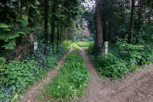 Libellestraat 15, 3271 Scherpenheuvel-Zichem - foto 4