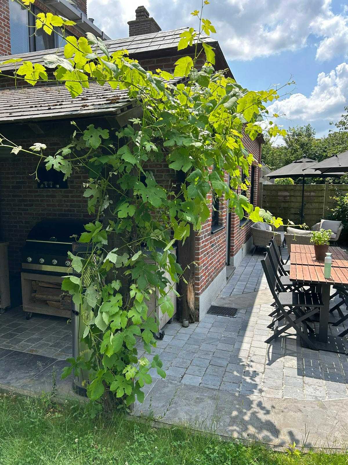 Huis te huur in Mortsel met 4 slaapkamers - foto 5