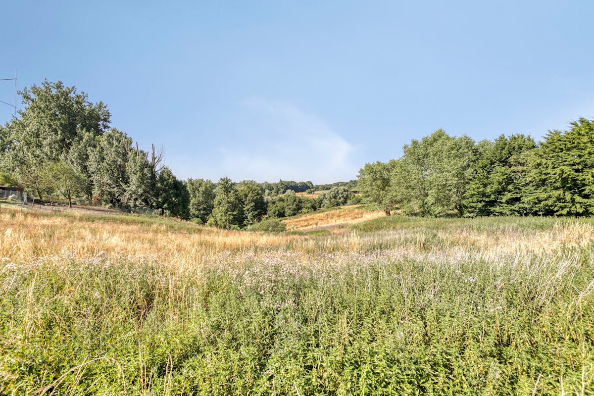 Bouwgrond met prachtig uitzicht te koop in Ellezelles - foto 4