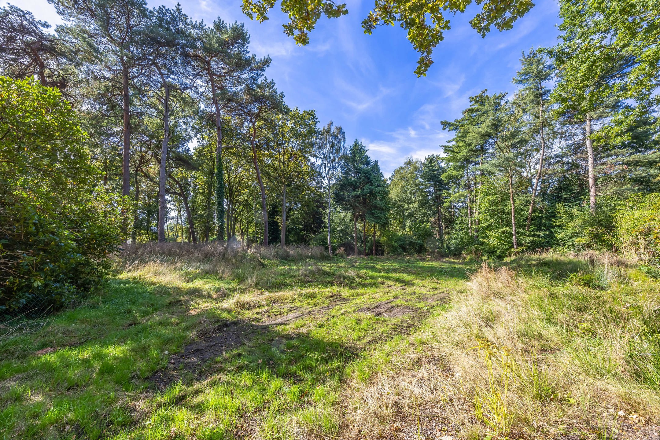 Extra brede bouwgrond in een groene oase - foto 4