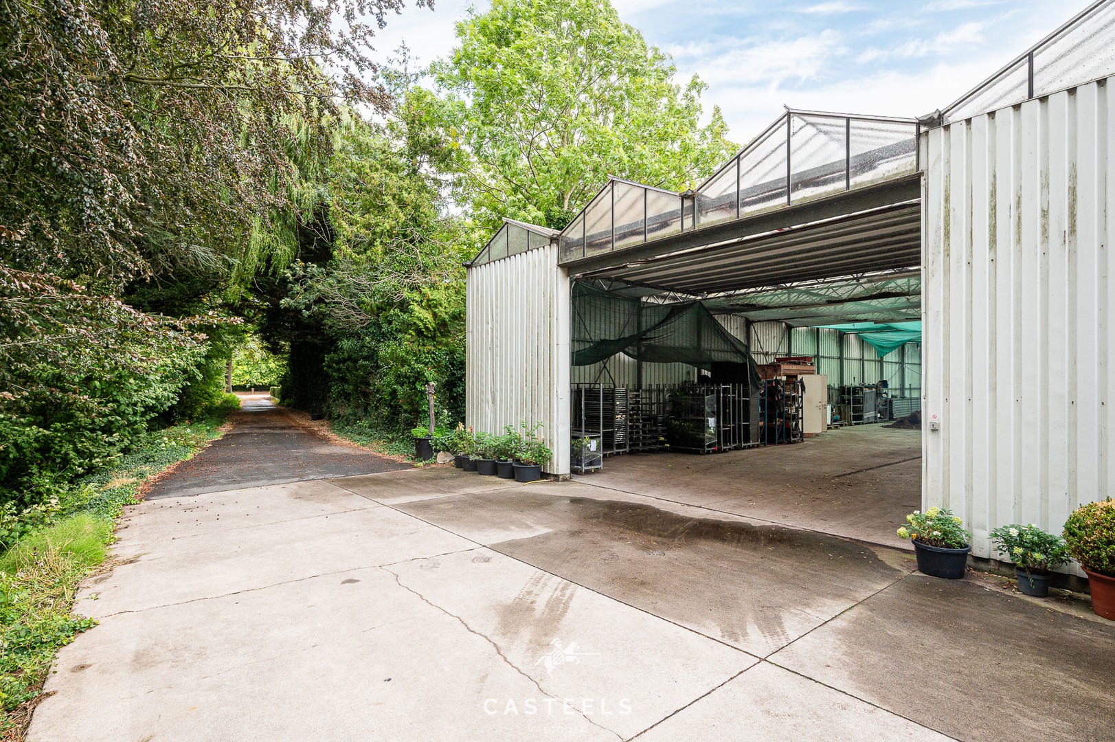 Serre op agrarische grond met logistieke toegangsweg - foto 5